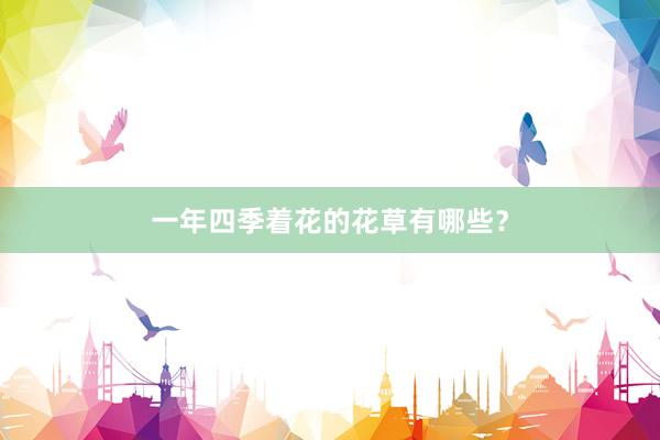 一年四季着花的花草有哪些？