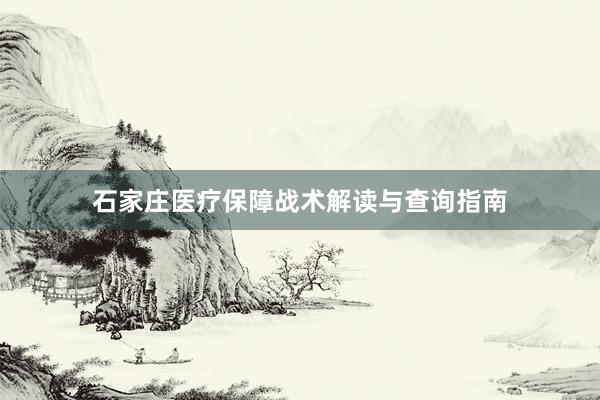 石家庄医疗保障战术解读与查询指南