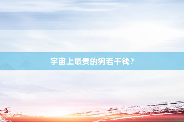 宇宙上最贵的狗若干钱？